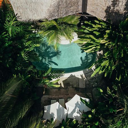 Conga Boutique Hotel Puerto Viejo de Talamanca Dış mekan fotoğraf