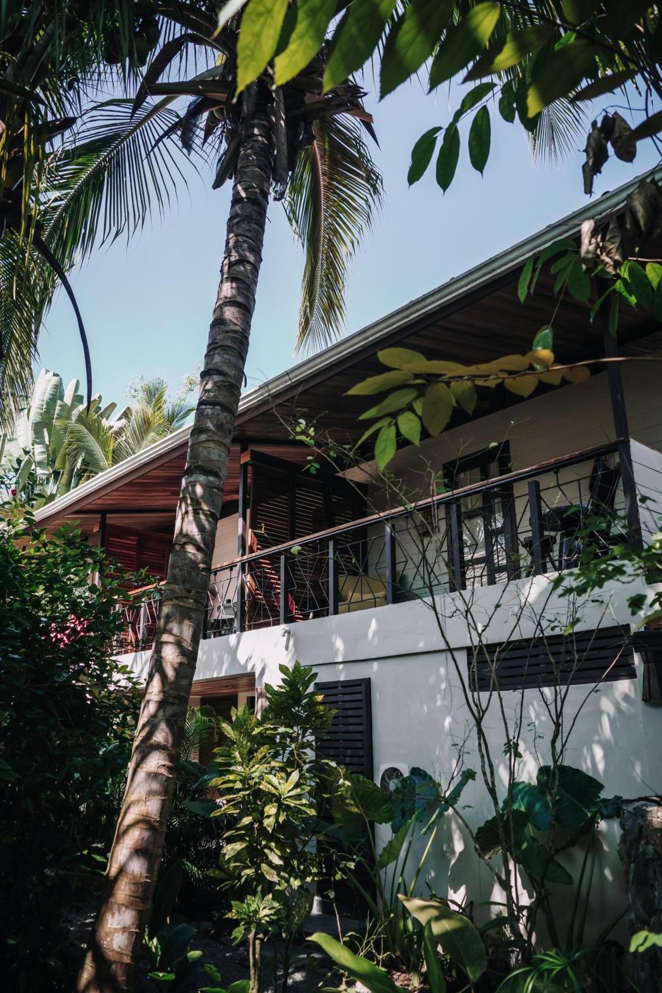Conga Boutique Hotel Puerto Viejo de Talamanca Dış mekan fotoğraf