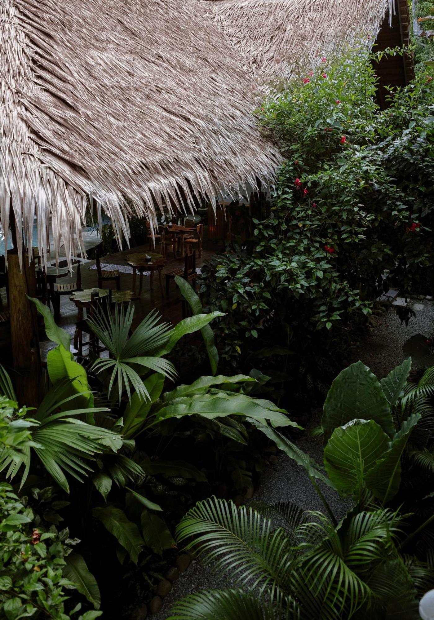 Conga Boutique Hotel Puerto Viejo de Talamanca Dış mekan fotoğraf