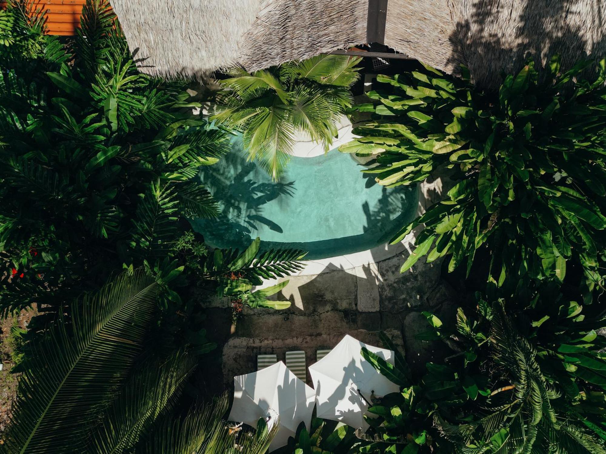 Conga Boutique Hotel Puerto Viejo de Talamanca Dış mekan fotoğraf