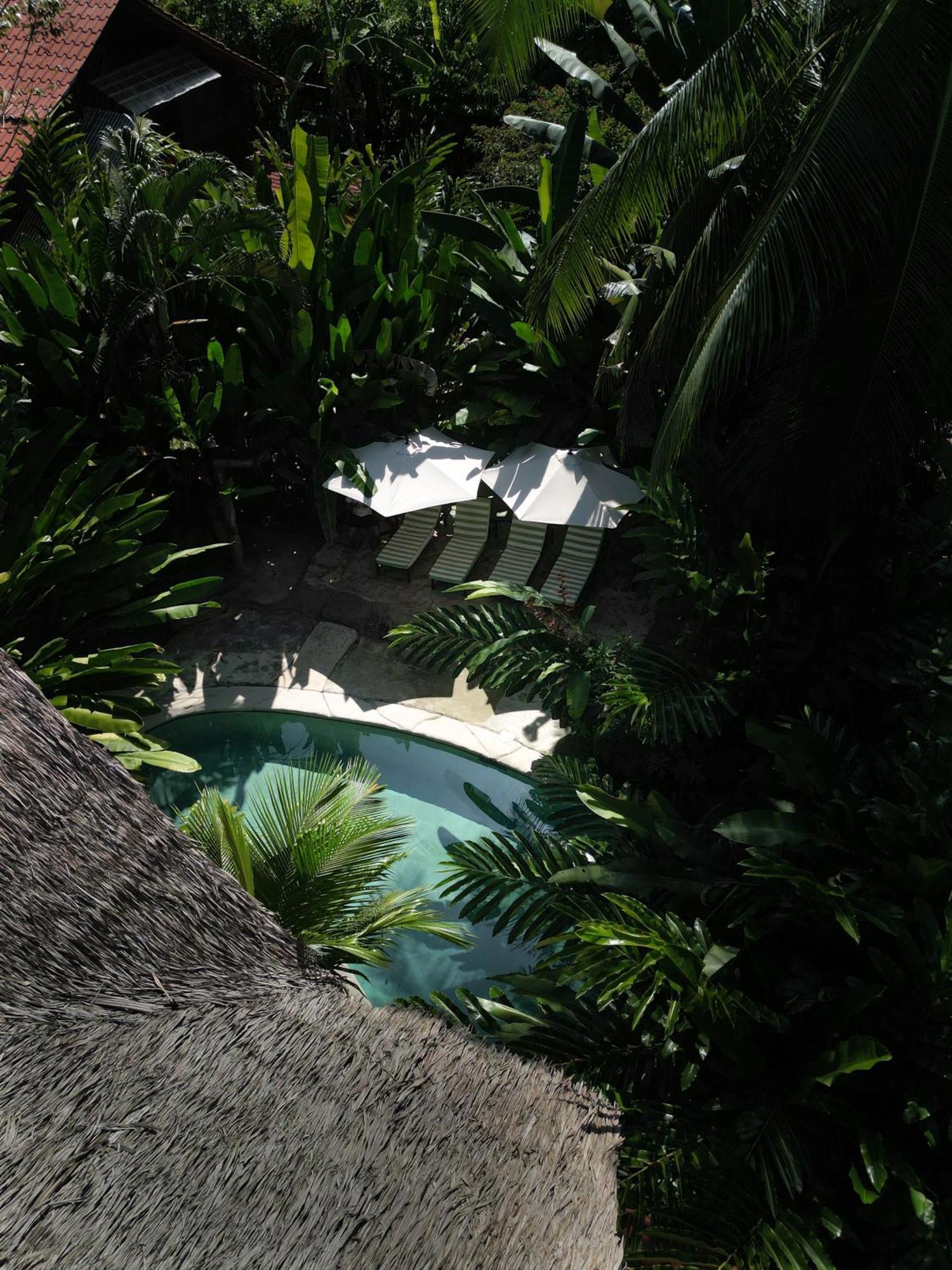 Conga Boutique Hotel Puerto Viejo de Talamanca Dış mekan fotoğraf